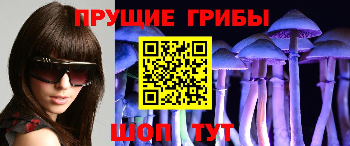 Галлюциногенные грибы мухоморы Лесной