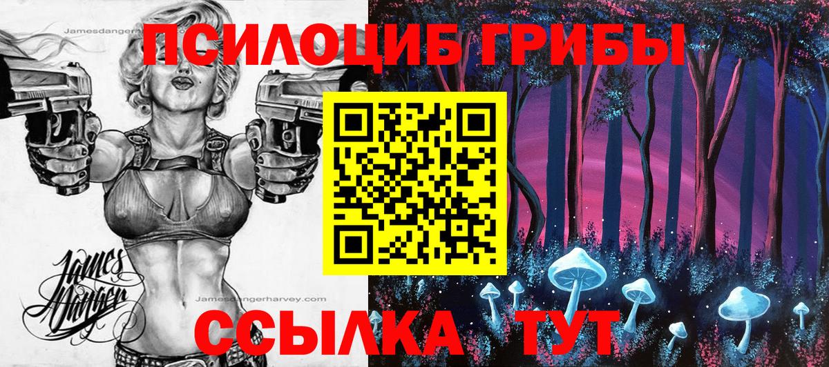 Галлюциногенные грибы Psilocybine cubensis  Вход с VPN  купить наркотики сайты  Псилоцибиновые грибы ЛСД  Лесной 