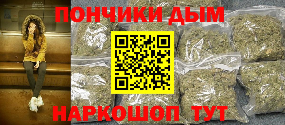 Бошки марихуана индика Лесной